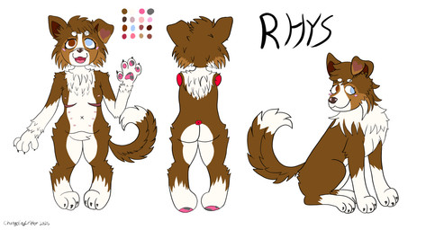 ambiguous_gender anthro feral fluffy heterochromia mastectomy_scar multi_nipple nipples scar solo changelingcritter rhys_(changelingcritter) border_collie canid canine canis collie domestic_dog herding_dog mammal pastoral_dog sheepdog absurd_res hi_res model_sheet