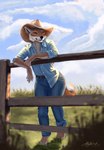 anthro barefoot belt blue_clothing blue_shirt blue_topwear blurred_foreground bottomwear clothed clothing cloud collared_shirt cowboy_hat cowgirl_outfit denim denim_bottomwear denim_clothing feet female fence field fur grass hat headgear headwear jeans outside pants paws plant shirt smile solo topwear alytarch mattie_cairns canid canine canis coyote mammal 2025 absurd_res digital_drawing_(artwork) digital_media_(artwork) digital_painting_(artwork) hi_res painting_(artwork) portrait signature story story_in_description