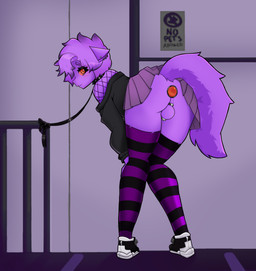 anthro balls buttplug chastity_cage chastity_device clothing collar crop_top cropped_hoodie ear_piercing ear_ring femboy flat_chastity_cage footwear fur gem genitals hair jewel_buttplug leash legwear male on_leash pattern_clothing pattern_legwear pattern_thigh_highs piercing plug_(sex_toy) rear_view red_eyes red_sclera ring_piercing sex_toy shirt shoes short_hair solo spiked_collar spikes tail thigh_highs topwear waiting luckesha nintendo pokemon felid generation_1_pokemon gengar mammal pokemon_(species) absurd_res hi_res