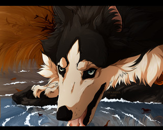 ambiguous_gender black_bars black_body black_claws black_fur black_pawpads blue_eyes claws drinking feral fur open_mouth pawpads solo tongue tongue_out water white_body white_fur msdeadsoul canid canine canis domestic_dog husky mammal nordic_sled_dog spitz 2018 5:4 dated letterbox signature male_(lore)