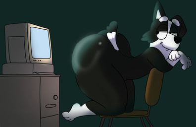 anthro big_butt bubble_butt butt chair computer electronics furniture male smug solo wide_hips young binkykun bluey_(series) mackenzie_(bluey) border_collie canid canine canis collie domestic_dog herding_dog mammal pastoral_dog sheepdog absurd_res hi_res