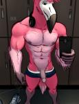 abs anthro beak biceps biped cellphone circumcised clothed clothing clothing_lift electronics erection footwear genitals glans headphones humanoid_genitalia humanoid_penis inside locker_room male muscular muscular_anthro muscular_male navel nipples non-mammal_nipples nude pecs penis phone pink_glans pink_penis presenting presenting_penis selfie shoes smile solo underwear bgn dylan_(bgn) avian bird flamingo 2018 signature