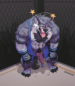abs anthro athletic athletic_male bodily_fluids body_hair breath chest_hair chest_tuft clothing defeated dizzy dizzy_eyes dripping erection exposed fight fighting_ring genital_fluids genitals gloves handwear knockout male martial_arts muscular muscular_male nipples open_mouth panting pecs precum pubes seeing_stars solo standing stunned sweat tired tongue tongue_out torn_clothing tuft unconscious woozy wrestling wrestling_singlet eruprior kyash-tyur canid canine canis mammal wolf hi_res