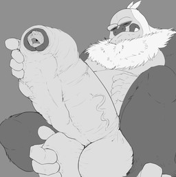 almost_fully_inside anthro anthro_pred balls belly big_balls big_penis body_outline cock_vore duo erection feet_first foot_on_own_balls forced foreskin fur genitals grey_background hand_feet holding_penis huge_balls huge_penis human_prey humanoid_genitalia humanoid_penis hyper hyper_balls hyper_genitalia hyper_penis larger_pred licking licking_lips licking_own_lips male male/male male_pred nude_pred open_mouth penile penis simple_background size_difference teeth tongue tongue_out unwilling_prey uvula vein veiny_penis vore willing_pred pandottermon nintendo pokemon generation_3_pokemon human mammal pokemon_(species) slaking greyscale hi_res monochrome