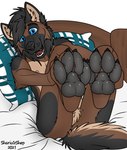 anthro bed black_body black_fur black_pawpads blue_eyes brown_body brown_fur butt canid canine canis domestic_dog feet foot_focus fur furniture german_shepherd grey_pawpads hair herding_dog hi_res looking_at_viewer male mammal nipples on_bed open_mouth pastoral_dog pawpads paws sharicgshep smile solo