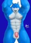 abs anthro arms_above_head balls belly biceps big_muscles big_penis biped black_nose blue_body blue_eyes blue_fur circumcised flaccid fur genitals humanoid_genitalia humanoid_penis looking_at_viewer male muscular muscular_anthro muscular_male nude pecs penis pink_penis simple_background smile solo standing white_belly white_body white_fur bin_(artist) mike_(freehugz) canid canine canis mammal wolf 2014 hi_res