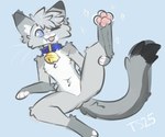 anthro bell bell_collar blep blue_collar blue_eyes blush butt collar dipstick_ears dipstick_fingers dipstick_tail dipstick_toes ear_markings femboy fur gold_bell grey_body hair looking_at_viewer lying male markings multicolored_ears nude nude_anthro nude_male on_side one_eye_closed pawpads paws pink_nose presenting_pawpads raised_leg simple_background smile solo tail tail_markings teeth tongue tongue_out tuft taintedstar nixuelle domestic_cat egyptian_mau felid feline felis mammal 2025 digital_media_(artwork) hi_res
