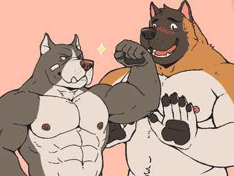 abs anthro bandage bandage_on_cheek bandage_on_face biceps black_pawpads blush bodily_fluids brown_body brown_fur claws duo finger_claws flexing flexing_bicep fur grey_body grey_fur male male/male multicolored_body multicolored_fur muscular muscular_anthro muscular_male navel nipples nude one_eye_closed pawpads pink_background simple_background sparkles sweat sweatdrop two_tone_body two_tone_fur white_body white_fur wink adios gab_(comic) ruff_bull voff_akita akita american_akita canid canine canis domestic_dog mammal pit_bull spitz 2016