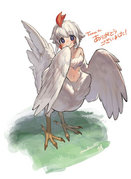 biped bipedal_taur blush feathered_wings feathers female flat_chested grass hair light_body light_skin naturally_censored navel plant solo split_form white_body white_feathers white_hair winged_arms wings young young_female mullmull avian avian_taur bird bird_taur chicken chicken_taur galliform phasianid taur absurd_res hi_res
