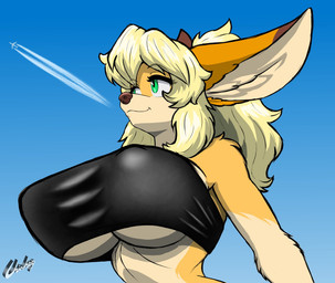 aircraft airplane anthro big_ears blonde_hair breasts ears_up eyebrows eyelashes female fur green_eyes hair looking_forward orange_body orange_fur outside sky smile solo vehicle chisheq nadia_(chisheq) canid canine fennec_fox fox mammal true_fox hi_res