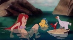 anthro blush bottomless clothed clothing female feral genitals group hair male penetration pussy red_hair rock size_difference unbirthing vaginal vaginal_penetration vore water third-party_edit unknown_artist disney disney_princess the_little_mermaid_(1989) ariel_(disney) flounder_(disney) scuttle_(the_little_mermaid) sebastian_(disney) avian bird fish gull human lari larid mammal marine