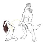 anatomically_correct anatomically_correct_genitalia anatomically_correct_penis animal_genitalia animal_penis anthro balls big_breasts big_butt bodily_fluids breasts brown_hair butt canine_genitalia canine_penis claws clothing duo erection female female_on_anthro fluffy fluffy_tail genital_fluids genitals golden_shower hair holding_own_penis holding_penis human_on_anthro interspecies knot legwear male male/female male_peeing male_peeing_on_female markings nipples peeing peeing_on_another peeing_while_erect penis tail thick_thighs thigh_highs urine urine_on_chest urine_stream watersports wide_hips bootyandthebeast mythology canid canine canis human mammal mythological_canine mythological_creature werecanid werecanine werecreature werewolf wolf hi_res