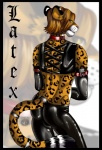 bdsm brown_hair butt clothing feline hair leopard looking_at_viewer pants rubber shiny short_hair silvergrin solo standing tail_ring vinyl yellow_eyes
Rating: Safe
Score: 0
User: Silvergrin
Date: June 14, 2013