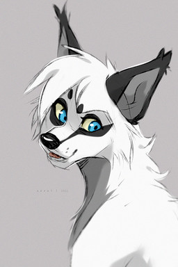 ambiguous_gender black_ears black_eyebrows black_markings black_nose blue_eyes cake cheek_tuft dessert eyebrows eyelashes facial_tuft feral food fur grey_background grey_inner_ear grey_markings looking_back markings open_mouth simple_background solo teeth tuft white_body white_fur yellow_sclera azzai canid canine canis mammal wolf 2022 colored digital_drawing_(artwork) digital_media_(artwork) shaded simple_shading