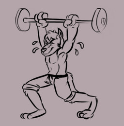 anthro athletic barbell claws clothing exercise male solo struggling toony workout beta_pup canid canine canis domestic_dog mammal