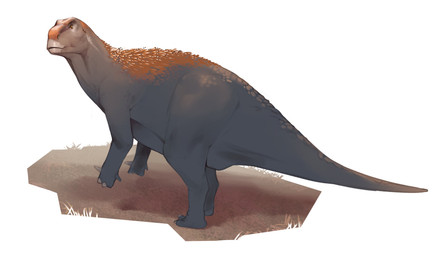 ambiguous_feral ambiguous_gender biped bipedal_feral brown_body brown_eyes brown_scales brown_tail claws feral finger_claws grass grey_body grey_scales grey_tail light mouth_closed multicolored_body multicolored_scales plant pupils quills_(anatomy) scales side_view snout solo tail tapering_tail toe_claws two_tone_body two_tone_scales two_tone_tail white_claws combos-n-doodles dinosaur haolong ornithischian ornithopod prehistoric_species reptile scalie 2026 absurd_res hi_res lighting shaded