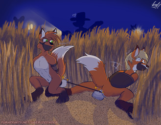 anthro ball_leash ball_tugging balls bdsm bondage bound bound_together cobondage cock_and_ball_torture duo field gag gagged genital_leash genital_torture genitals guard hidden leash male muzzle_(object) muzzled nude outside penis penis_leash restraints simple_background tail jedader canid canine fox mammal digital_media_(artwork) hi_res