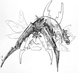 2_horns 6_wings all_fours anthro ass_up black_body black_cum black_fluid black_penis bodily_fluids bottomless bottomless_anthro cloak clothed clothing colored_cum cum cum_drip cum_in_vagina cum_inside dominant dripping dripping_vulva duo female female_penetrated from_behind_position genital_fluids genitals horn insect_wings jockey_position larger_dom larger_male male male/female male_penetrating male_penetrating_female multi_wing nude_anthro parent_incest penetration penis pinned pinned_to_ground prone_bone_position rear_view sex simple_background size_difference smaller_female unusual_bodily_fluids unusual_cum unusual_genital_fluids vaginal_fluids vaginal_fluids_puddle white_background white_body white_cloak white_clothing white_head wings latyabsx hollow_knight_(franchise) team_cherry hollow_knight_(character) pale_king_(hollow_knight) arthropod insect vessel_(species) 2024 absurd_res hi_res pen_(artwork) sketch traditional_media_(artwork) father_(lore) father_and_child_(lore) incest_(lore) male_(lore) nonbinary_(lore) parent_(lore) parent_and_child_(lore)