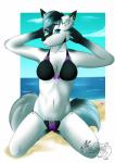 anthro beach bikini biped black_body black_fur black_hair black_nose blue_body blue_eyes blue_fur blue_hair bra clothed clothing cloud day detailed_background ear_piercing eyebrow_piercing facial_piercing female fur grey_body grey_fur hair kneeling lip_piercing looking_at_viewer multicolored_hair navel outside piercing sand seaside simple_background skimpy sky solo swimwear text tongue two-piece_swimsuit two_tone_hair underwear water white_background white_body white_fur twilonangel canid canine mammal 2016 english_text hi_res watermark