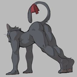 anthro backsack balls black_body black_fur bow_ribbon butt fur genitals grey_background looking_at_viewer male male_anthro pawpads simple_background tail yellow_sclera jrjresq tussle_(jrjresq) domestic_cat felid feline felis mammal 1:1 hi_res