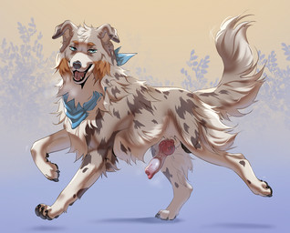 anatomically_correct anatomically_correct_genitalia anatomically_correct_penis animal_genitalia animal_penis balls blue_eyes canine_genitalia canine_penis erection feral genitals kerchief knot knot_root knotted_penis looking_at_viewer male neckerchief neckwear paws penis plant pose sheath solo tongue tongue_out tree vein veiny_penis wilderness aseniyaaa rikuroo australian_shepherd canid canine canis cattledog domestic_dog herding_dog mammal pastoral_dog sheepdog hi_res