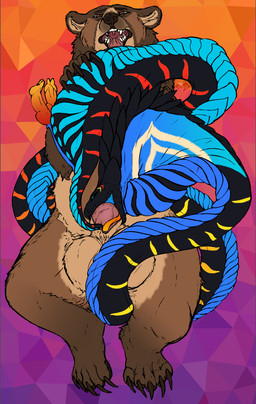 2_penises abdominal_bulge abstract_background animal_genitalia animal_penis arm_markings aroused balls bear_ears belly big_balls big_penis black_body blue_body blue_scales brown_arms brown_body brown_ears brown_fur brown_hands brown_legs cheek_markings claws cloaca cloacal cloacal_fisting cloacal_penetration cloacal_penis coiled_up coiling coiling_another coiling_around_body coiling_around_leg duo erection facial_markings fellatio feral feral_on_bottom feral_on_feral feral_on_top feral_penetrated feral_penetrating feral_penetrating_feral fisting forked_tongue front_view fur genitals hair head_markings hemipenes herm herm/male herm_feral herm_penetrated huge_balls huge_penis intersex intersex/male intersex_feral intersex_penetrated interspecies knot large_penetration male male_feral male_penetrating male_penetrating_herm male_penetrating_intersex mane mane_hair markings multi_genitalia multi_penis multicolored_body multicolored_fur multicolored_scales neck_bulge nude on_bottom on_top open_mouth oral oral_penetration orange_genitals orange_markings pawpads paws penetration penile penis plantigrade quadruped red_markings scale_splitting scales sex sheath sheath_penetration sheath_play simple_background snake_hood snake_mouth splitting_scales spread_plates spreading_scales stretched_cloaca tail tan_balls tan_belly tan_body tan_fur teeth tight_fit tongue tongue_in_sheath tongue_out ursine_ears ursine_genitalia ursine_penis yellow_genitals yellow_markings third-party_edit yonnixart brimstone_(jasafarid) kuruk_(character) bear brown_bear cobra grizzly_bear mammal reptile scalie snake ursidae ursine 2025 absurd_res digital_drawing_(artwork) digital_media_(artwork) hi_res sketch