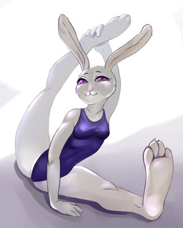 anthro breasts clothing feet female flexible leotard pawpads small_breasts solo stretching swimwear laitzero_artist disney zootopia judy_hopps hi_res