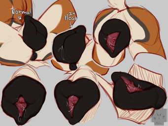 animal_genitalia animal_vulva big_vulva bodily_fluids canine_genitalia canine_vulva disembodied_hand female genital_fluids genitals hyper hyper_genitalia hyper_vulva in_heat masturbation penetration presenting presenting_vulva spread_legs spread_vulva spreading vaginal vaginal_fluids vaginal_fluids_on_vulva vulva rottenfox canid canine mammal maned_wolf 4:3 hi_res sketch sketch_page