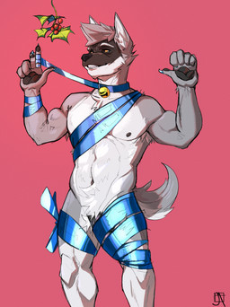 anthro bell bell_collar black_penis blue_claws blue_eyes bound claws collar fur genitals grey_body grey_fur holidays male muscular muscular_male penis ribbons smile smiling_at_viewer solo jackalntomb christmas cole_canine canid canine canis domestic_dog husky mammal nordic_sled_dog spitz 2024 absurd_res hi_res