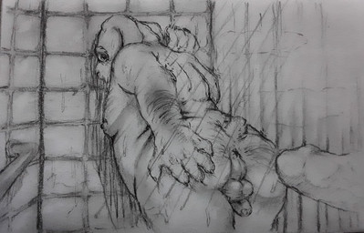 anthro anus balls bent_over butt dildo genitals hairy holding_butt looking_back male male/male mature_male moobs penis penis_backwards presenting presenting_anus presenting_hindquarters scut_tail sex_toy short_tail shower slightly_chubby small_balls small_penis solo_focus spread_butt spreading tail eric_dream_everyotherheart nintendo star_fox peppy_hare hare lagomorph leporid mammal hi_res monochrome