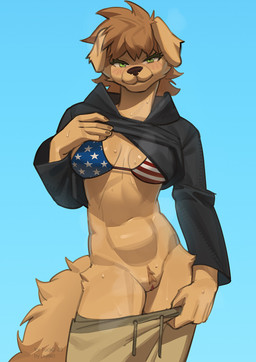 american_flag anthro blue_background blush bra breasts clothing female genitals hoodie simple_background solo topwear underwear united_states_of_america vulva pulred canid canine mammal