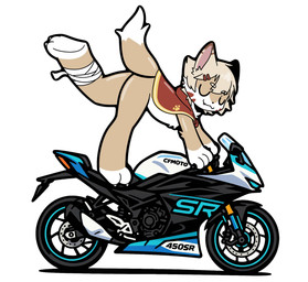 E621 profile picture for @Motorcycle