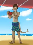 anthro beach blue_clothing blue_swimming_trunks blue_swimwear brown_hair clothed clothing hair holding_clothing holding_object holding_speedo holding_swimwear male navel nipples red_clothing red_speedo red_swimwear seaside solo speedo standing swimming_trunks swimwear topless fuze fish marine shark 3:4 hi_res