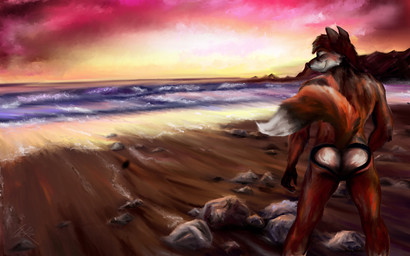 backless_panties beach black_nose blush brown_body brown_fur brown_hair clothing detailed_background eyes_closed fur hair male multicolored_body multicolored_fur orange_body orange_fur panties raised_tail rock sand seaside sky smile solo standing sunset tail underwear water white_body white_fur killianwalker canid canine fox mammal 16:10 2015 hi_res widescreen