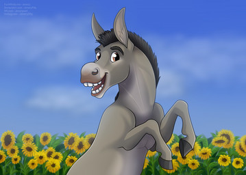 bent_legs black_eyebrows black_hooves black_mane blue_sky brown_eyes cloud eyebrows feral flower flower_field fur grey_body grey_fur happy hooves light lips long_ears male male_feral mane open_mouth open_smile outside plant red_lips red_tongue short_mane sky smile solo sunflower teeth text tongue unguligrade jenery dreamworks shrek_(series) donkey_(shrek) asinus donkey equid equine mammal 2020 artist_name colored digital_drawing_(artwork) digital_media_(artwork) english_description half-length_portrait lighting portrait shaded url