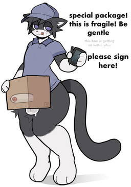 anthro balls blush bottomless bottomless_anthro bottomless_male clothed clothed_anthro clothed_male clothing delivery_(commerce) delivery_employee dick_in_a_box genitals hat headgear headwear humanoid_genitalia humanoid_penis male male_anthro penis simple_background solo standing tail text tongue zinamao domestic_cat felid feline felis mammal 2026 english_text hi_res