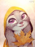 anthro clothed clothing fall_leaves female fur grey_body grey_fur hand_on_face hat headgear headwear leaf purple_eyes rain_coat simple_background smile solo straw_hat white_background askalin disney zootopia judy_hopps lagomorph leporid mammal rabbit graphite_(artwork) traditional_media_(artwork)