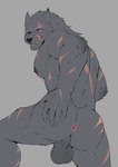 anthro anus balls black_nipples black_nose black_sclera butt darkened_balls darkened_genitalia darkened_perineum fangs fur genitals grey_balls grey_body grey_fur grey_perineum hand_on_butt male muscular muscular_male nipples open_mouth pecs perineum pink_anus purple_eyes scar solo teeth tongue toraxd elden_ring fromsoftware blaidd_(elden_ring) canid canine canis mammal wolf absurd_res hi_res