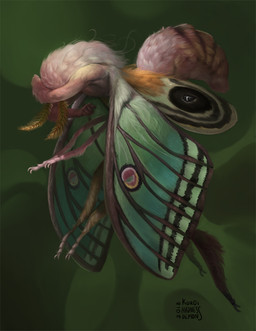 5_fingers ambiguous_gender anthro feral fingers flying fur green_background pink_body pink_fur simple_background solo wings kuroi-kisin arthropod insect lepidopteran moth 2018 digital_media_(artwork)