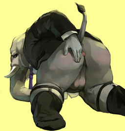 all_fours anthro anus balls butt clothing eyewear footwear formal_wear garter_belt garter_belt_socks garter_straps genitals glasses looking_at_viewer male mature_male necktie presenting presenting_anus rear_view simple_background socks solo suit_jacket tail wearing_glasses sopomon hysterium elephant elephantid mammal proboscidean 2017 hi_res