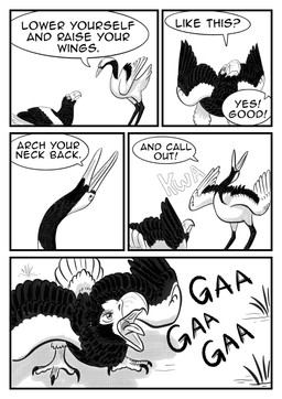 ambiguous_gender black_body black_feathers bubble_text dialogue feathers feral grass outside plant simple_background speech_bubble text white_body white_feathers comixqueen akiko_(comixqueen) isuzu_(comixqueen) accipitrid accipitriform avian bird crane_(bird) eagle gruiform grus_(genus) red-crowned_crane sea_eagle steller's_sea_eagle 2025 black_and_white comic english_text hi_res monochrome female_(lore)