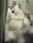 anthro areola balls belly ear_piercing eyebrow_piercing facial_piercing flaccid fur genitals grey_body grey_fur humanoid_genitalia humanoid_penis looking_down male nipples nude penis piercing shower slightly_chubby solo wet wet_body wet_fur pu94_d1de4c arknights hypergryph studio_montagne spot_(arknights) hyena mammal spotted_hyena hi_res