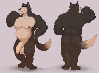 anthro balls big_muscles big_pecs black_body genitals huge_pecs humanoid_genitalia humanoid_penis male muscular pecs penis solo tail fleshformomo lary alaskan_malamute canid canine canis domestic_dog husky mammal nordic_sled_dog spitz