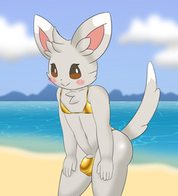 anthro barely_visible_genitalia barely_visible_penis beach blush brown_eyes bulge butt cheek_tuft clothed clothing cloud crossdressing crossdressing_male detailed_bulge dipstick_ears dipstick_tail ear_markings facial_tuft femboy fluffy fluffy_chest fur genitals gold_swimwear grey_body grey_fur hands_on_legs head_tuft inner_ear_fluff looking_at_viewer male markings multicolored_ears outside penis penis_base solo tail tail_markings thick_thighs tuft white_body white_fur kamek_sans golden_week nintendo pokemon innes_(kamek_sans) generation_5_pokemon minccino pokemon_(species) hi_res