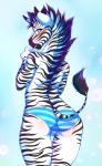 2014 anthro back_turned biting_finger blush bulge butt camel_toe clothed clothing equine female fur hair inuki looking_at_viewer looking_back mammal multi-colored_hair raised_arm seductive short_hair skimpy solo standing teeth underwear zebra
Rating: Questionable
Score: 39
User: forkU
Date: March 22, 2014