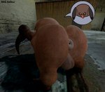 anus balls butt genitals male not_furry nude solo nsg_editor garry's_mod half-life half-life_2 valve alien headcrab 3d_(artwork) digital_media_(artwork)