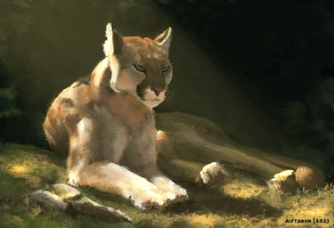 ambiguous_gender brown_body brown_fur feral fur grass light lying markings on_front on_ground outside plant realistic simple_background solo tail whiskers alytarch cougar felid feline mammal 2025 detailed digital_drawing_(artwork) digital_media_(artwork) digital_painting_(artwork) hi_res lighting painting_(artwork) portrait shaded signature