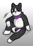 4_fingers anthro arm_on_knee black_body black_ears black_fur black_nose bodily_fluids clothing eyebrows fingers fur looking_away male multicolored_body multicolored_fur purple_clothing purple_scarf raised_eyebrow scarf sitting sitting_on_ground slightly_chubby solo sweat two_tone_body two_tone_fur white_body white_fur d13w0tt_(artist) dogs_in_space netflix atlas_(dogs_in_space) boston_terrier canid canine canis domestic_dog hunting_dog mammal molosser small_molosser terrier toy_dog hi_res