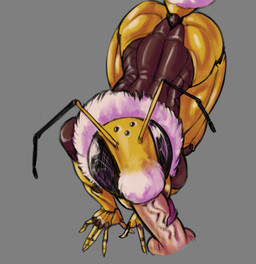 all_fours antennae_(anatomy) anthro black_eyes compound_eyes disembodied_penis exoskeleton fellatio female genitals grey_background humanoid_genitalia humanoid_penis male male/female mandibles neck_tuft ocellis oral penile penis sex simple_background tongue tongue_out tongue_out_fellatio tuft yellow_body sun_bug bee_girl_(sun_bug) arthropod bee hymenopteran insect