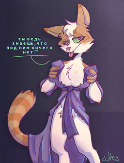 anthro clothed clothed_anthro clothed_female clothed_feral clothing female feral olet_clothing playful robe solo text diamondz nastya_klimova novdi warriors_(book_series) youtube yara_(nastya_klimova) domestic_cat felid feline felis mammal absurd_res hi_res russian_text translation_request